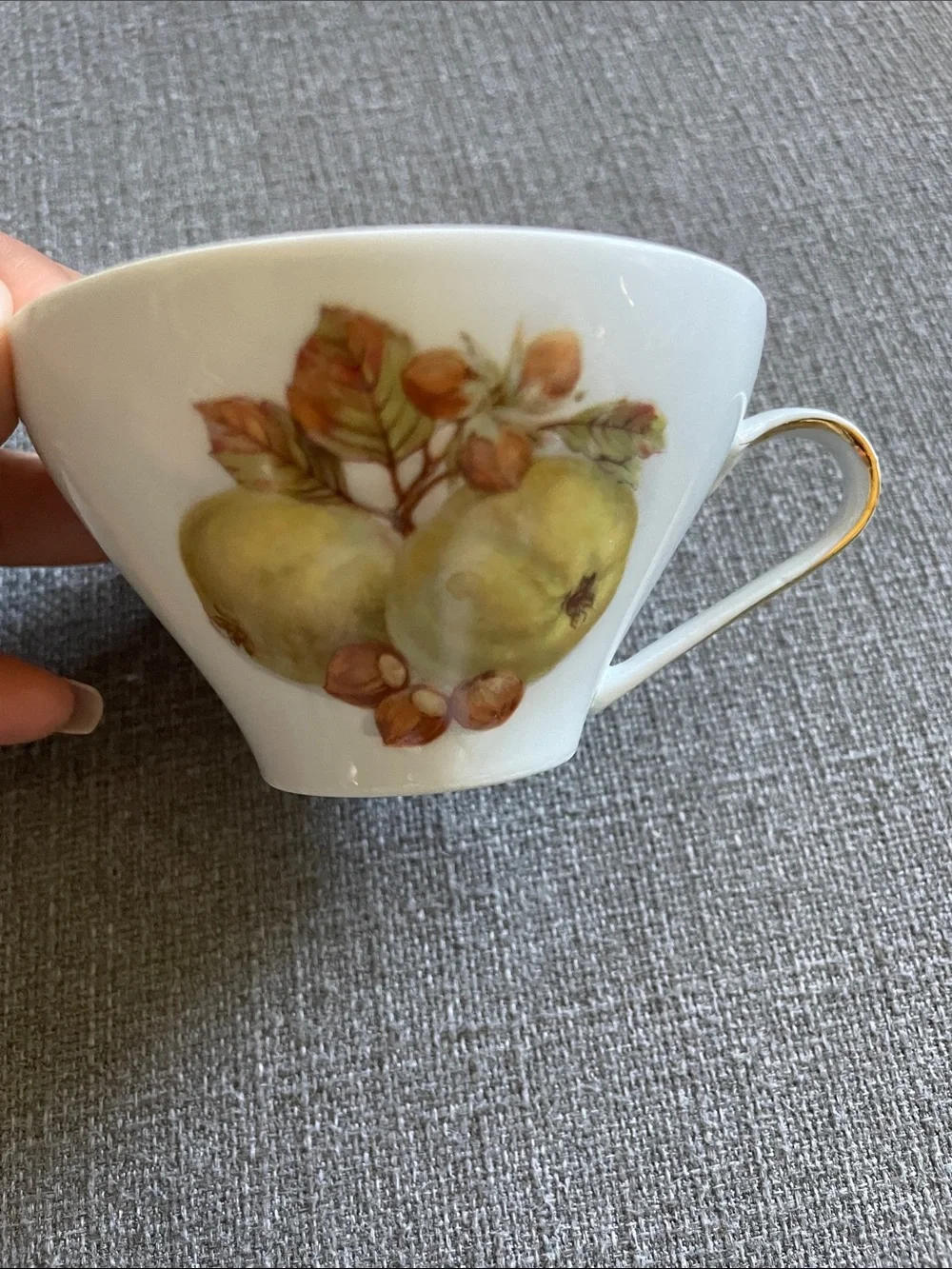 Bareuther Waldsassen Bavarian  Teacup and Saucer Set Fruit design and Gold Trim